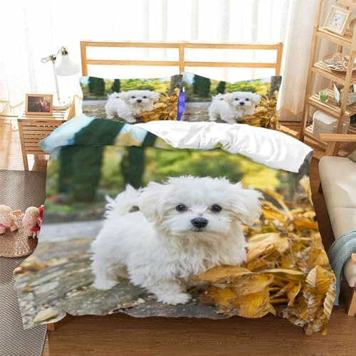 AASIRA Maltesischer Hund Bettwäsche 135x200 Kinder Bettwäsche Haustier Hund Weiche Mikrofaser Bettbezug mit Reißverschluss Jungen Mädchen Bettwäsche-Set 3D Motiv Bettbezüge mit 2 Kissenbezug 80x80
