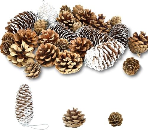 28 Stück Weihnachten Tannenzapfen, Natürlichen Schnee Deko Mit String Anhänger Handwerk für Weihnachtsbaum, Adventskranz