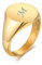 PJ JEWELLERY Unisex Blank Edelstahl Paar Initial Round Siget Ring Ehering 18 Karat vergoldet benutzerdefinierte Siegelring Geschenk für Frauen Valentinstag Größe 52 (16.6)