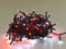 Guirlande de Noël lumineuse extérieure 34 m, 480 LED rouges et LED blanc flash