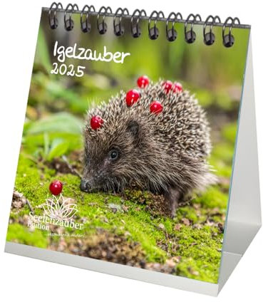 Igelzauber Kalender für 2025 Format 10cm x 10cm Igel - Seelenzauber