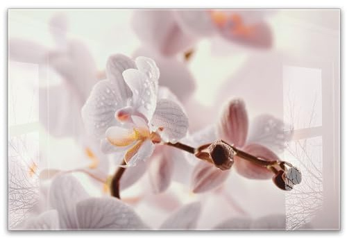 timalo Küchenbild aus Acrylglas modernes Wandbild Glasbild Deko Küche XXL Bild wie Glas | 60x40cm Orchidee, Blüten Makro, zarte Pastellfarben, elegante Blume, Naturmotiv, Wellness