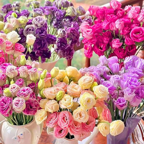 300 pcs Samen Eustoma,Eustoma Grandiflorum Samen,Mischung Eustoma Samen,Bunt Eustoma Samen,Geeignet Zum Pflanzen in Garten und Balkon