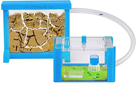 AntHouse - Natürliche Ameisenfarm aus Sand | 3D Basic Set (Sandwich + Futterbox) Himmelblau | Inklusive Ameisen