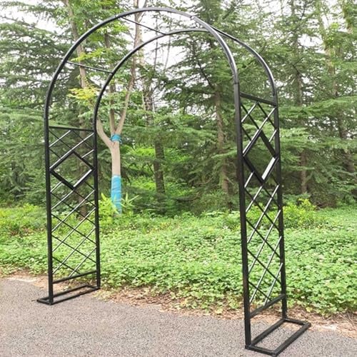 Generisch Heavy Duty Rosenbogen Metall Gartenbogen für Kletterpflanzen, Breite 140cm 160cm 180cm 200cm 220cm 240cm 260cm 280cm 300cm 320cm 340cm Torbogen Rankhilfe Rankgitter(Schwarz,W160 X H230cm)