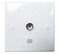 Falcon Workshop Supplies Ltd Single White Minimalist IEC Isolated Wall Socket TV Aerial Wall Plate Coax Coaxial Outlet