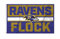 Rico Industries NFL Football Baltimore Ravens Bold 90 x 152 cm Banner Flagge einseitig – drinnen oder draußen – Heimdekoration