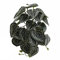 Plantes tropicales pour reptiles - Accessoires pour habitat d'amphibiens - Simulation de décoration de terrarium - Simulation imprimée en 3D - Plantes pour terrarium tropical pour habitat pour serpent