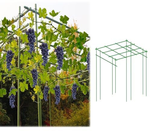 Rankhilfe aus Metall, langlebige Stützstangen für Ranken- und Pflanzenklettern, ideal für Garten und Hinterhof