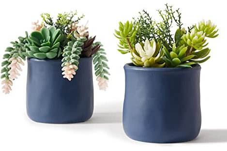 ASTRIDIA Artificial Succulent in Ceramic Pots, 2 Packs Large Faux Fake Plants Navy Blue for Desk,Office, Bedroom, Living Room, Bathroom Office Shelf Home Décor