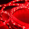 Mextronic LED Streifen LED Band LED Strip 3528 Rot 625-630nm 24W 500CM 24V IP20