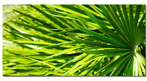 Glücksvilla - Blattwerk 3 - div. Maße (modernes Leinwand-Bild 2 cm, 80 x 40 cm) aus DE - Kunstdruck XXL Deko-Wandbild quer - Palme Urwald Pflanze Natur Garten Botanik grün x