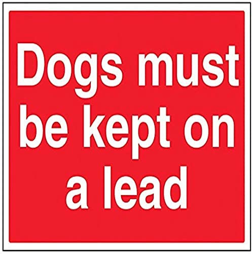 vsafety 76011bf-r General Panneau Agricole, Chien doit être placé sur une laisse, en plastique rigide, paysage, 400 mm x 300 mm, rouge