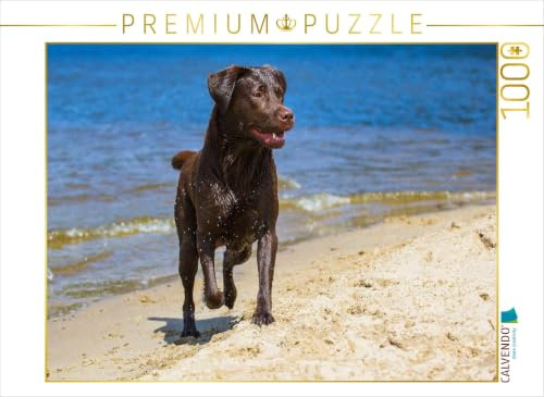 CALVENDO Puzzle Labrador Retriever - Sommerfreuden | 1000 Teile Lege-Größe 64 x 48 cm Foto-Puzzle für glückliche Stunden