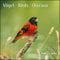 Vögel 2021 - Broschürenkalender - Wandkalender - mit herausnehmbarem Poster - Format 30 x 30 cm: Broschürenkalender. Mehrsprachiges Kalendarium