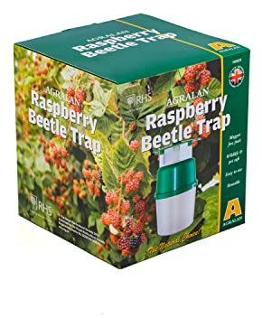 Agralan RHS Approved Natural Pheromone Lure Traps & Refills | Codling Moth | Plum Moth | Box Tree Moth | Chafer Beetle | Raspberry Beetle Control (Raspberry Beetle Trap)