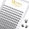 QUEWEL Wimpern Einzeln Einzelne Wimpern Cluster Lashes Natürlich C Curl MIX8-16 144Stck Wimpern Segmente Breit Fundament Individuelle Wimpern für Augen Make-up DIY Wimpernverlängerung(Natürlich-C-MIX)