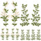 WEBEEDY 8 Stück Grüne Blätter Florale Spitze Applikation Wald Blätter Ranken Applikation 3D Spitze Kleidung Stickerei Patch Daisy Nähen Applikation Handwerk Für Kostüm 2 Stile 4 Paare