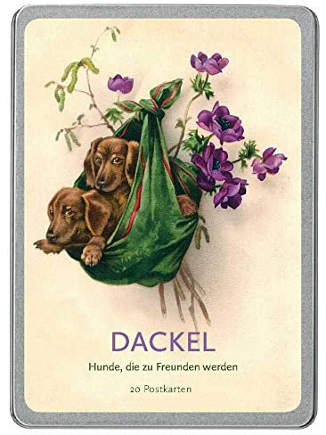 Dackel: Hunde, die zu Freunden werden
