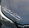 myrockshirt Limited Edition Wunschlogo Wunschname 30 cm Aufkleber,Sticker, Autoaufkleber,Auto,Lack,Scheibe, Tuning, Racing aus Hochleistungsfolie ohne Hintergrund