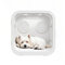 WENMEE Secador De Mascotas para Perros Y Gatos, Silencioso 360° con Control De Temperatura Y Ventana Interactiva