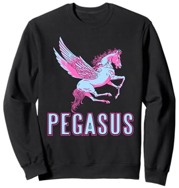 Pegasus Fliegendes Fabelwesen Reiter Retro Szene Sweatshirt