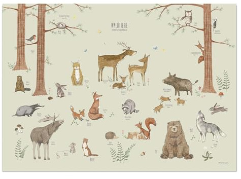 scriptum Waldtiere Poster grün - Kinder Deutsch Englisch – 50x70 cm – Natur Lernposter Kinderzimmer – Zweisprachiges Wandbild – 200g Premium Papier – Made in Germany – Designforlittleone