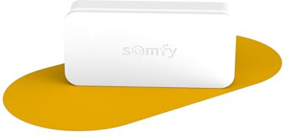 Somfy 2401487 - IntelliTAG, intelligenter Sensor für Home Alarm, Weiß | Sabotageschutz | Funkreichweite bis zu 200 M (in Freifeld)