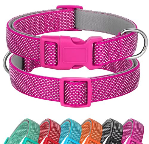 Didog Reflektierendes Hundehalsband mit Schnalle, verstellbar, weiches Neopren, gepolstert, Nylon, Haustierhalsbänder für kleine, mittelgroße und große Hunde, Hot Pink, M