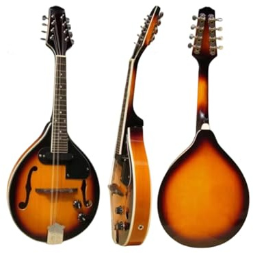 Mandolin For Beginners Electric All Solid Mandolin Instrument With ABS Hard Case
