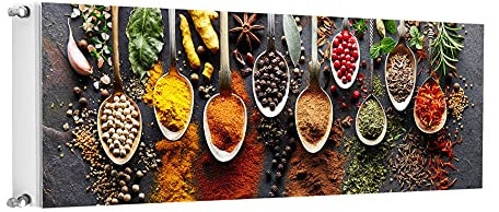 TMK ArtDeko Heizkörperverkleidung Magnetisch Wohnliches Ambiente Einfache Befestigung 160x60 Magnet Heizkörperabdeckung, Gewürze