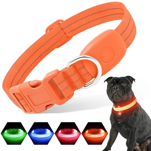PZRLit Leuchthalsband Hund Aufladbar, Hundehalsband Leuchtend für Klein Mittel große Hunde, Einstellbar LED Halsband für Hunde für Nacht Sicherheit