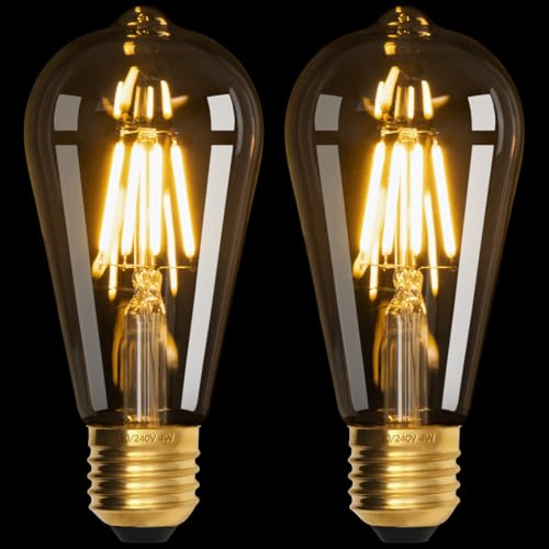 Terafeels 2 Pack E27 Vintage LED Light Bulbs, ST64, 4W, 220-240V, 2700K Warm White Glow, Clear Glass, Edison Screw in Light Bulb