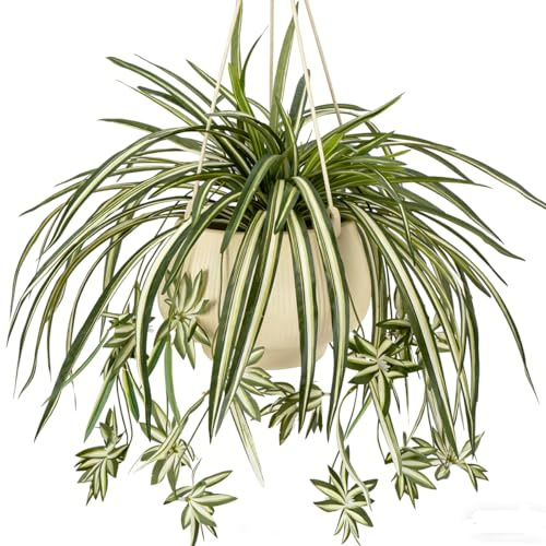 Laelfe 3 Packs Large Artificial Spider Plants | Large Faux Silk Chlorophytum Comosum, For Outdoors Indoor, Home Office Garden Decorations, Pot Not Included