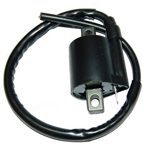77187321 Zündspule one kompatibel mit Aprilia SR 50 1994 1995 1996
