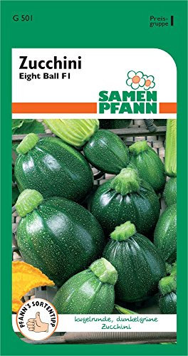 Samen Pfann G501 Zucchini Eight Ball (Zucchinisamen)