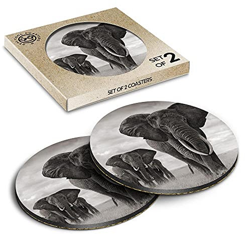 2 x Eco Boxed Cork Coasters - African Elephant Herd Drink Cup Mug Glass Table Mat #8955