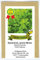 Grüne Minze, Spearmint - Mentha spicata - 1500 Samen