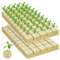 NbgrvB Hydrokultur-Wollblock für erdlose Blumenkultur, langlebig und steril, geeignet für alle Pflanzen (30 x 30 x 40 mm), Q8U610VMWU76RB4J3XQ5