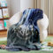 Ainvliya Decke Hary Kuscheldecke Flauschig, Winterdecke Wärmedecke Fleecedecke, Schlafdecke Blanket - 3D Cartoon Drucken Reisedecke für Kinder, Mädchen, Erwachsene, Sofadecke 100x150 Bettwaren