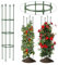REGAPOG Tuteur Tomate Cerise, Support Plante Grimpante.Support Support Tomate pour Cage A Tomate Et Tuteur Fraisier Grimpant Il Est Possible De L'Enlever，Aidez Vos Plantes à Pousser(2 Ensembles)