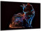 DARO Design - Wand-Bild 6mm HDF 70x50 cm Neon Katze - Wand-Deko Bilder Wohnzimmer