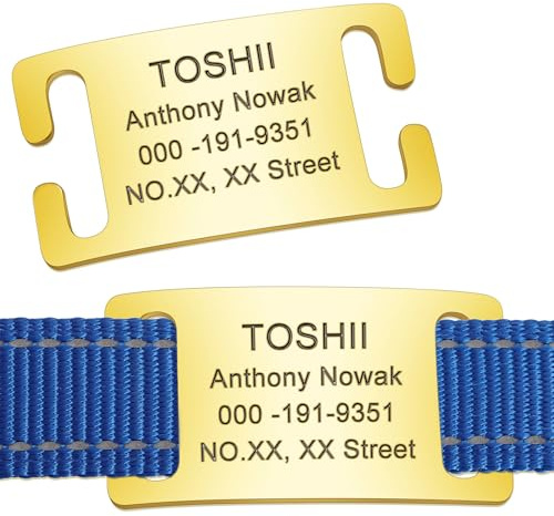 OTXIXTO Personalisierte Erkennungsmarken Gavierter Name und Nummer zum Aufschieben Geräuschlose Haustier-ID-Tags Edelstahl Namensschild für Hunde- und Katzenhalsbänder 4 Größen (Gold Offen-L)