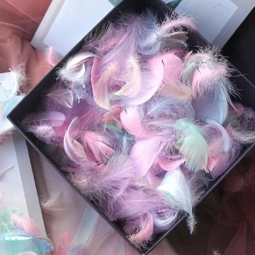 100 Stück Federn weiße Gänse Federn Handwerk Schmuck Party Plume Dekor DIY Geschenkbox Füllmaterial