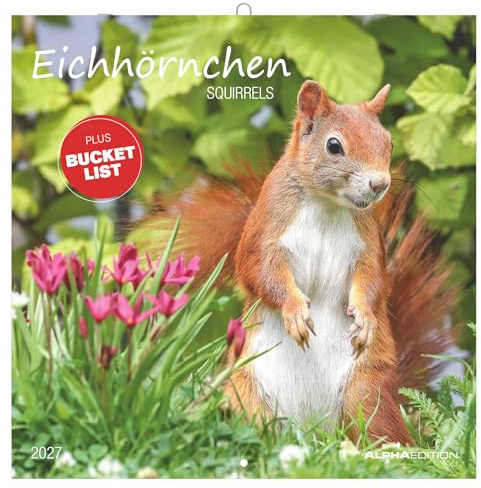 Eichhörnchen 2027: Wandkalender 30x30 cm (30x60 cm geöffnet) mit Notizkalendarium, 12 naturverbundenen Tiermotiven und Bucket-List