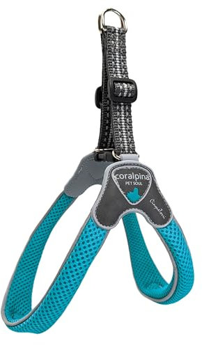 Coralpina Cinquetorri Hundegeschirr, Türkis, Größe 2 (25–35 cm)