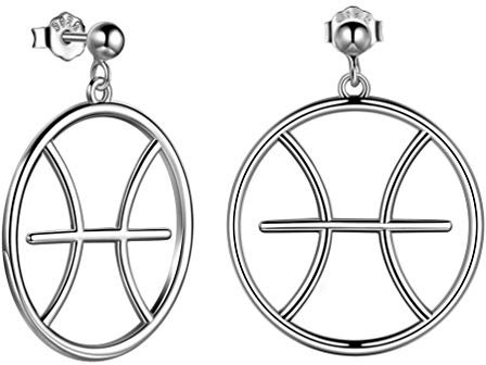 Sterling Silber Big Round Zodiac Ohrringe Frauen Boho Schmuck Horoskop Geburtstag Ohrringe Geschenk für die besten Freunde Fische Ohrringe Stud PE0071Y