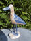 Möwe auf Fuss Holz massiv Holz Natur und blau 30 cm Maritime Deko
