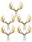 Amosfun 5 Stück Geweih Kuchen Topper Weihnachten Acryl Rentier Geweih Cupcake Topper Obst Dessert Picks Kuchen Dekoration für Weihnachten Party Liefert