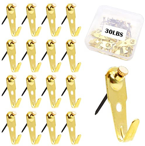 Dianrui 30 Stück Gips-Wandbild-Aufhänger, 13,6 kg, professionelle, robuste Bilder-Aufhängehaken, Bilder-Aufhängeset für Trockenbau